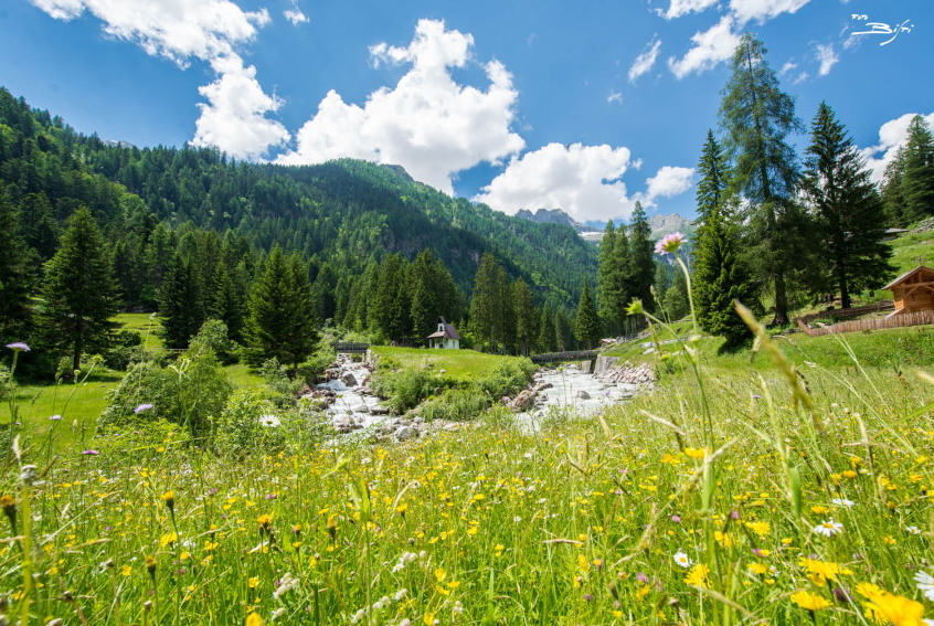 Trentino: Val Genova, a vízesések völgye - Val Genova | Secret World Trip Planner