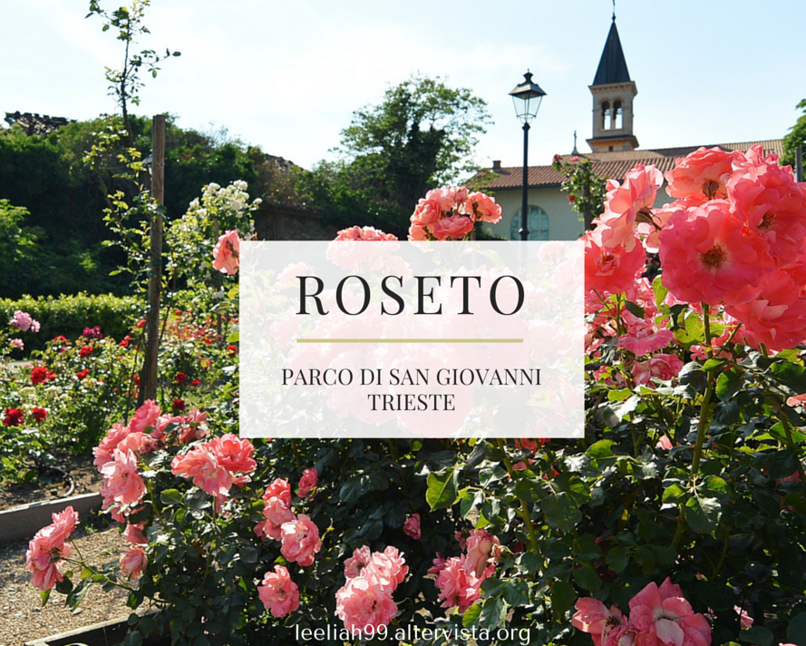 Le bellissime Rose del Parco di San Giovanni - Trieste | Secret World Trip Planner