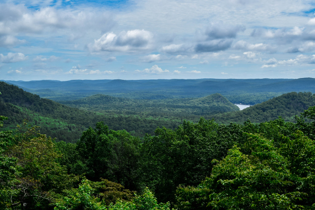 Uwharrie National Forest — Troy