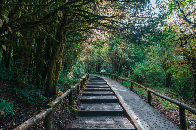 Doi Inthanon National Park - Tambon Ban Luang | Secret World Trip Planner