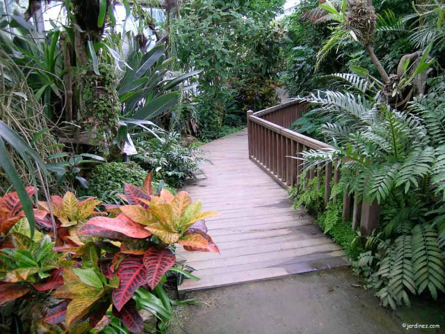 Park Emmanuel Liais - Cherbourg-en-Cotentin | Secret World Trip Planner