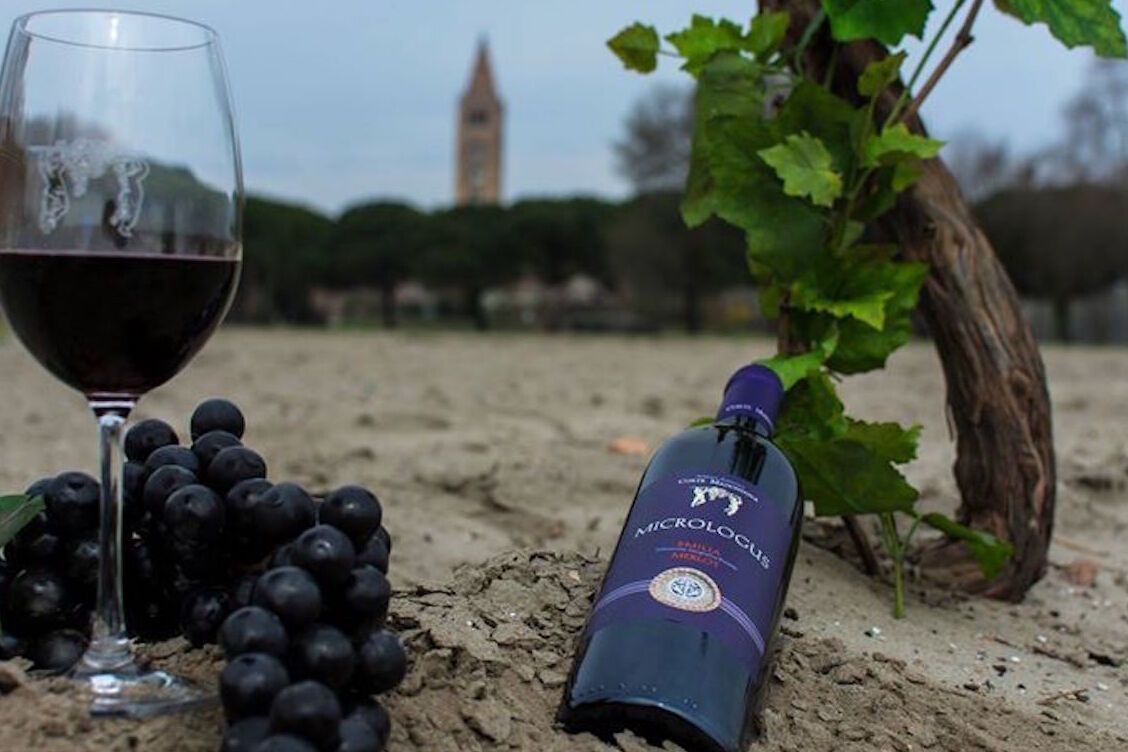 Eliceo लाकूड वाइन - Voghiera | Secret World Trip Planner