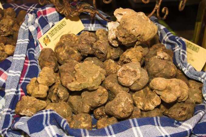 Lanýže ve Ferraře - Sant'Agostino | Secret World Trip Planner