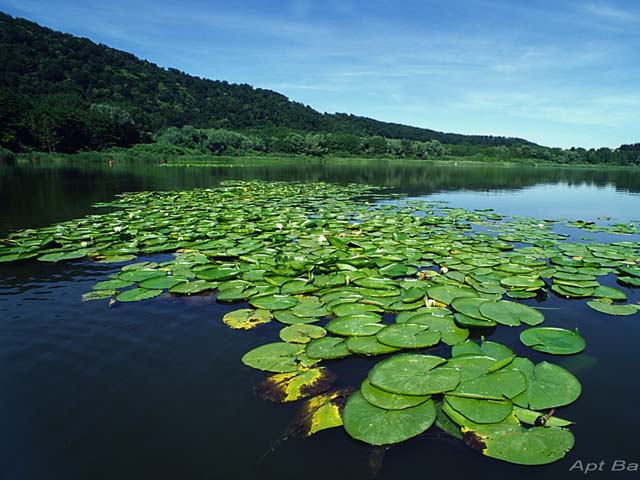 Monticchio Meren - Laghi di Monticchio | Secret World Trip Planner