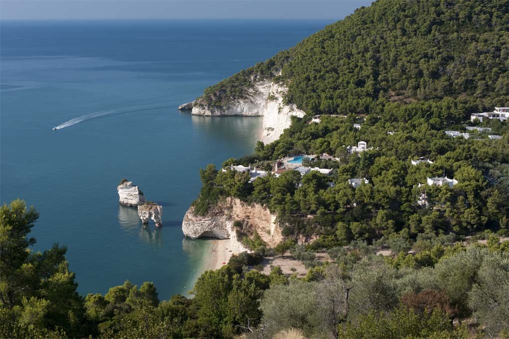 Κόλπος του Ζαγκαρέ