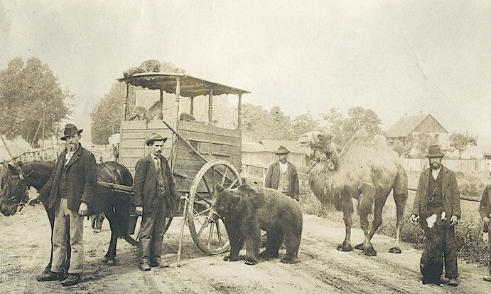 奥尔桑蒂博物馆最初出生在compiano，在deconsecrated教堂  - Vigoleno | Secret World Trip Planner