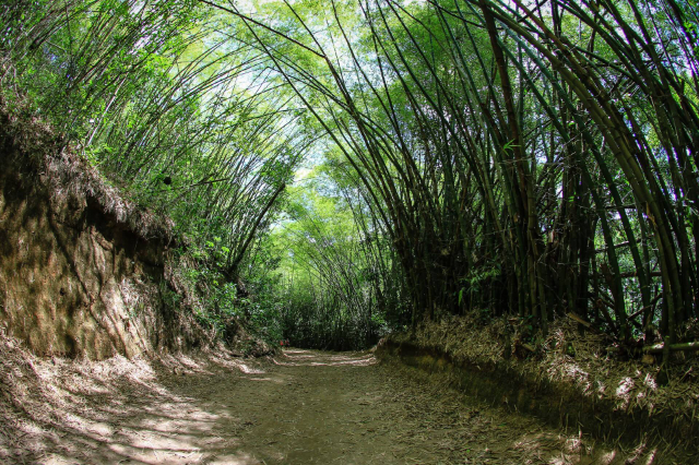 Taman Kotamadya Maceio - Maceió - AL | Secret World Trip Planner