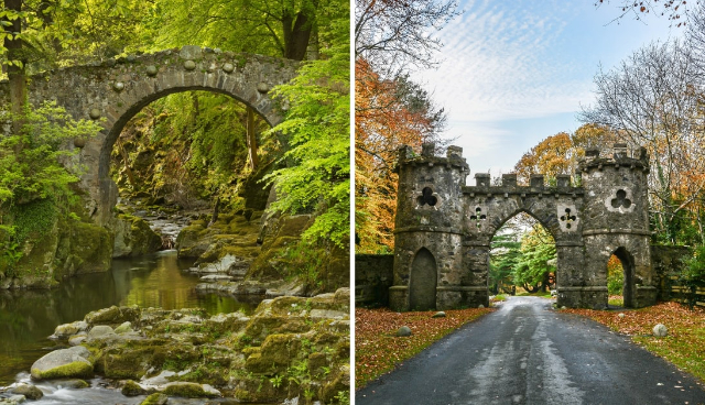 Tollymore Orman Parkı - Bryansford Rd | Secret World Trip Planner