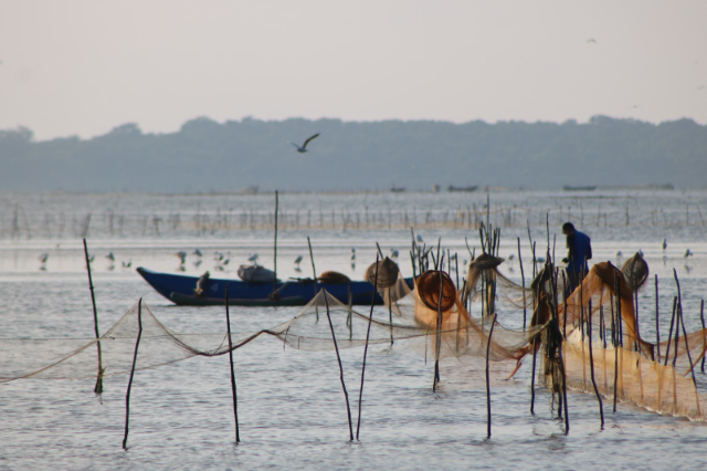 Murlach Kokkilai - Kokkilai Lagoon | Secret World Trip Planner
