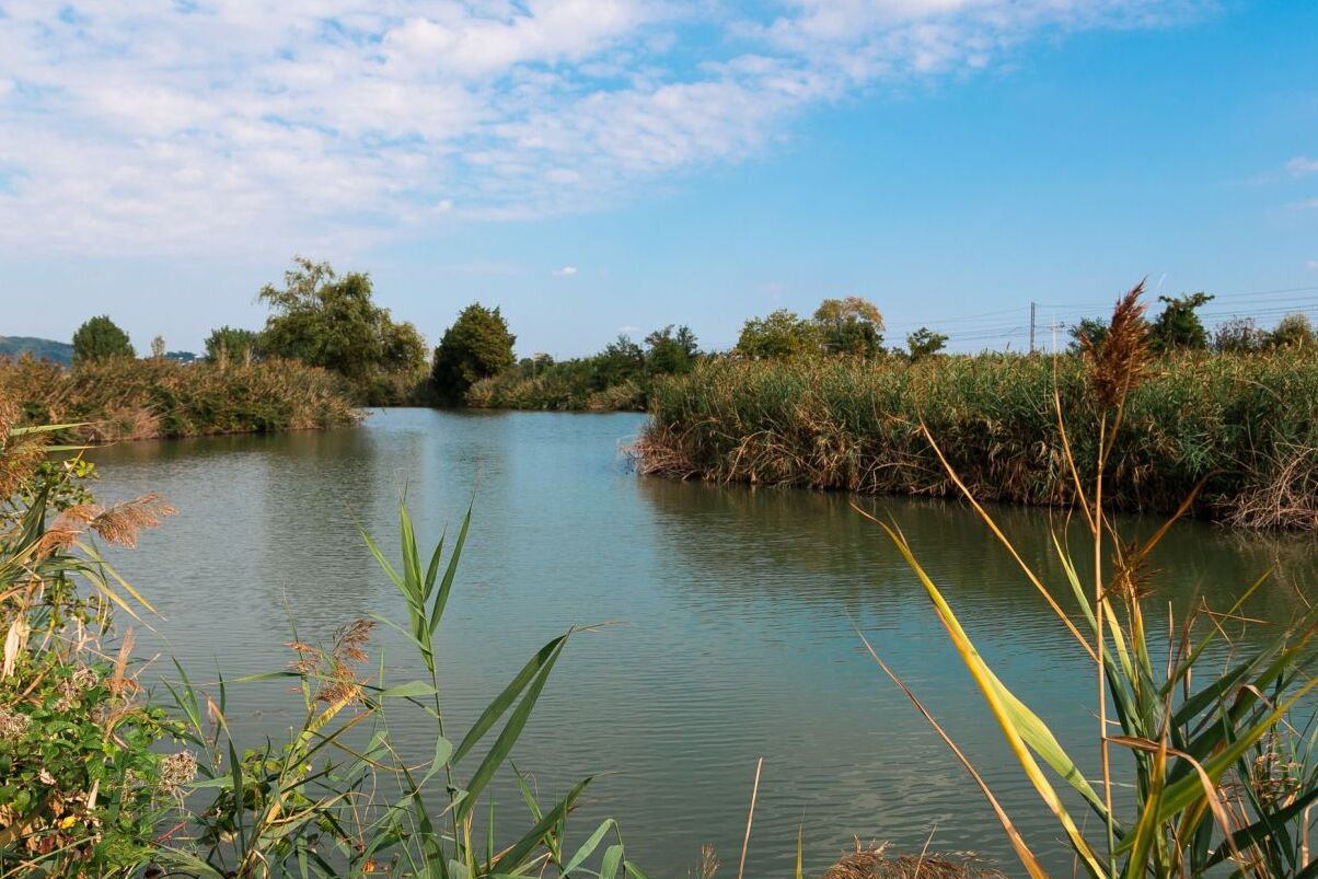 Кӯли Лиспида - SP16 | Secret World Trip Planner