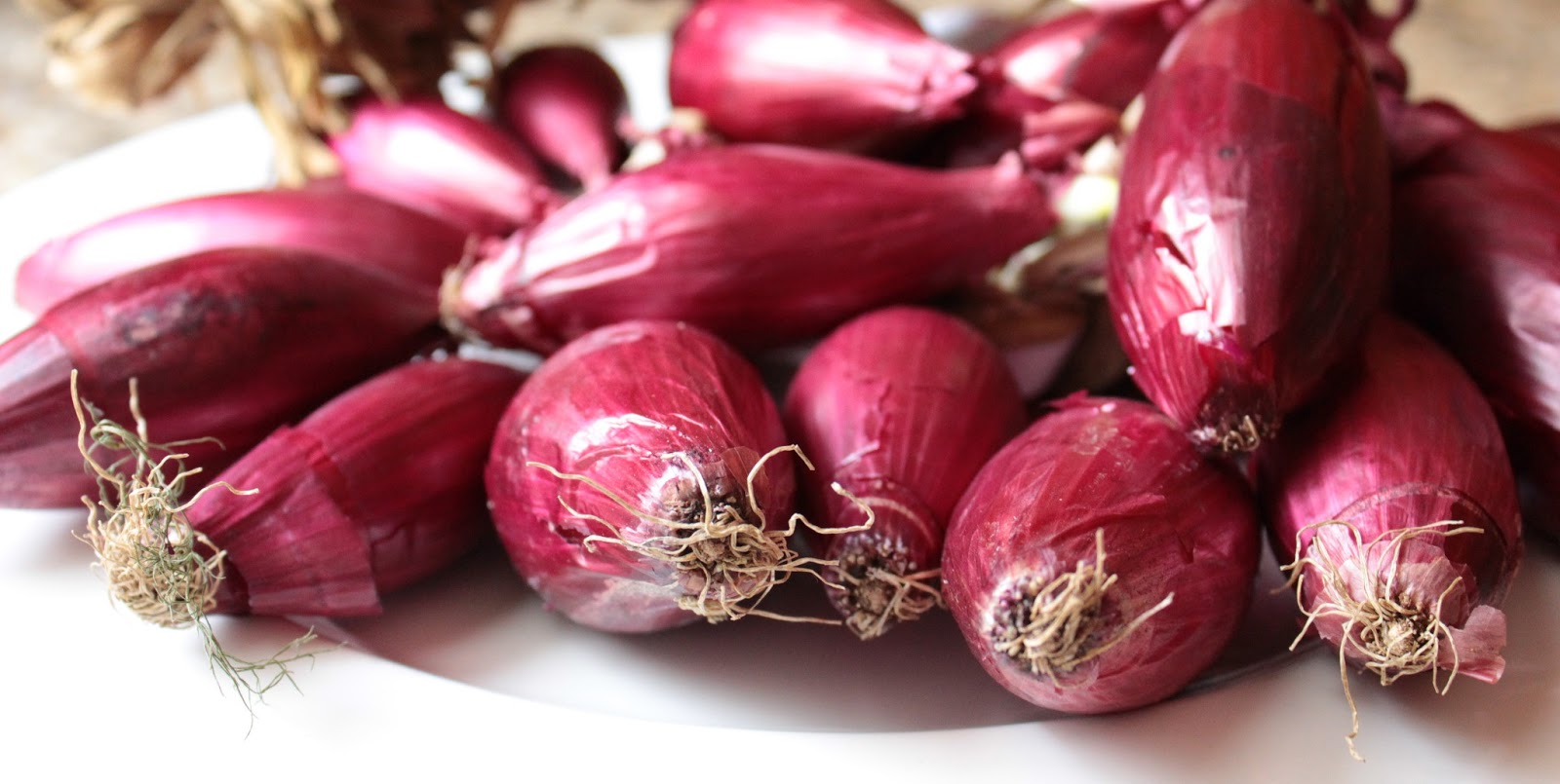 Cebola vermella de Tropea - Tropea | Secret World Trip Planner