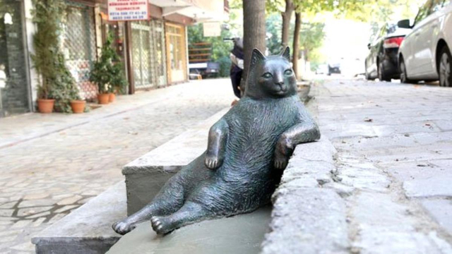 Statyn av Tombili - Zahit Bey Sk. | Secret World Trip Planner