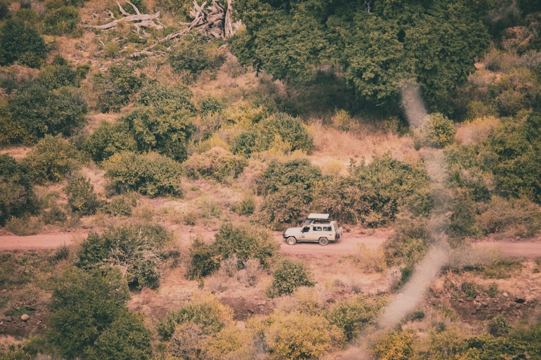 Lake Manyara National Park - Karatu | Secret World Trip Planner