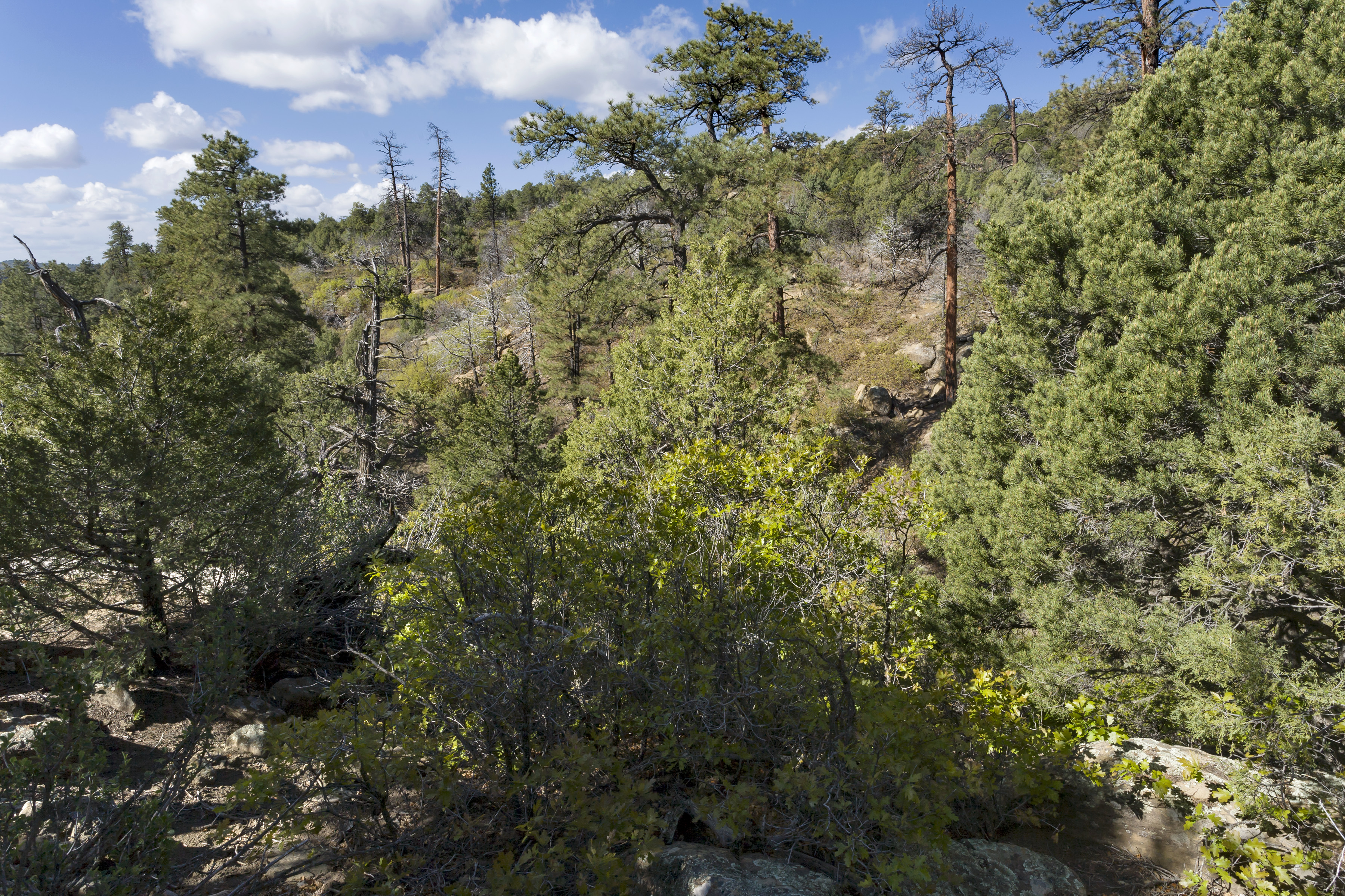 Це скельна споруда не тільки сюрреалістично - воно реально. Причина, чому він не - Torino | Secret World Trip Planner