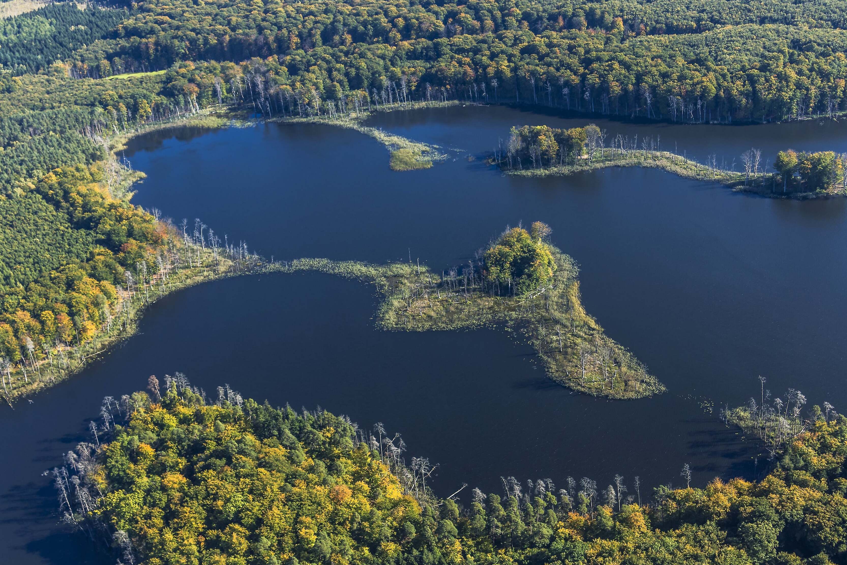 Alemanha: Parques Nacionais Jasmund e Muritz, - Sassnitz | Secret World Trip Planner
