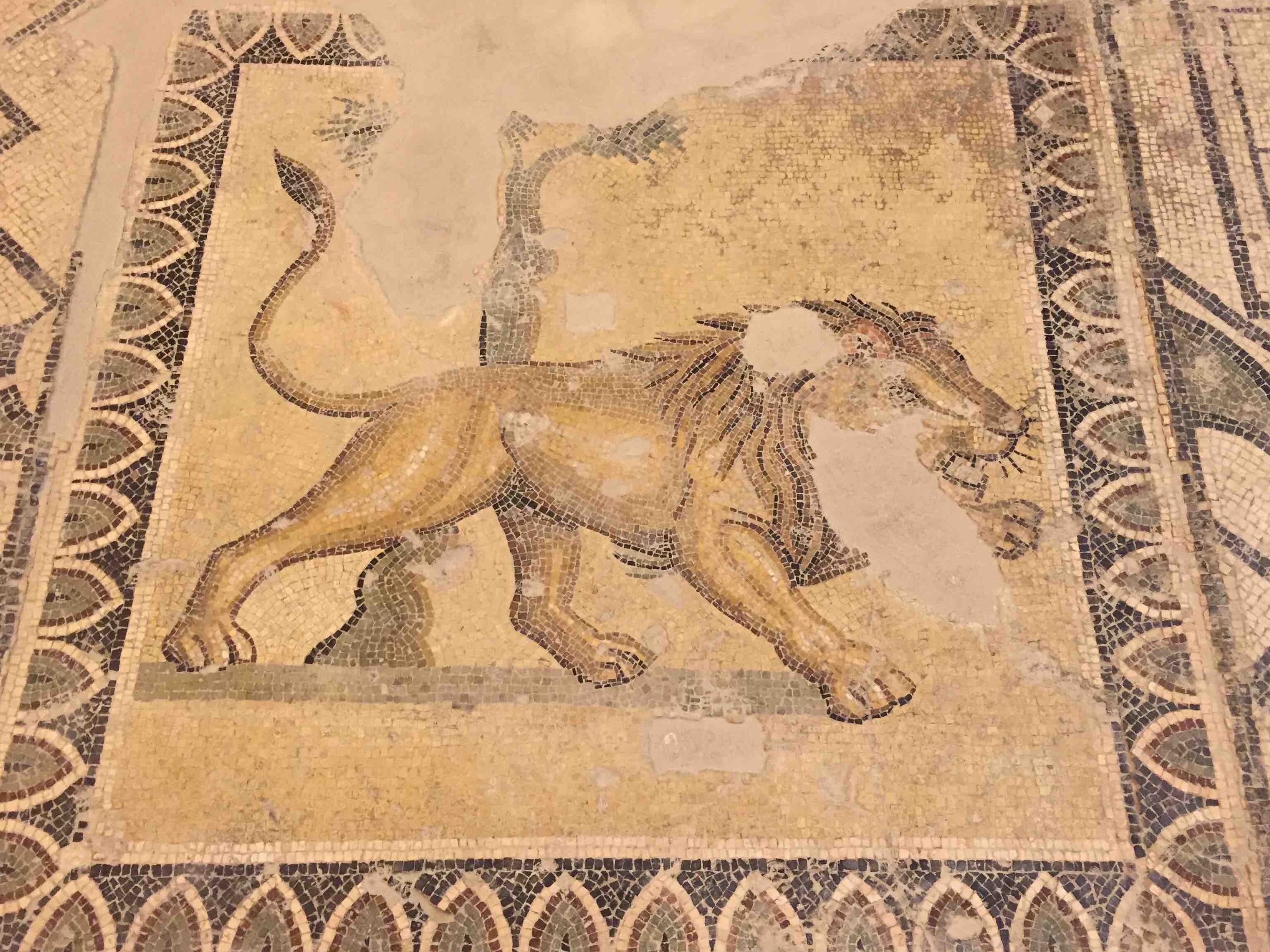 Гарадскі музей Ларына - Larino | Secret World Trip Planner