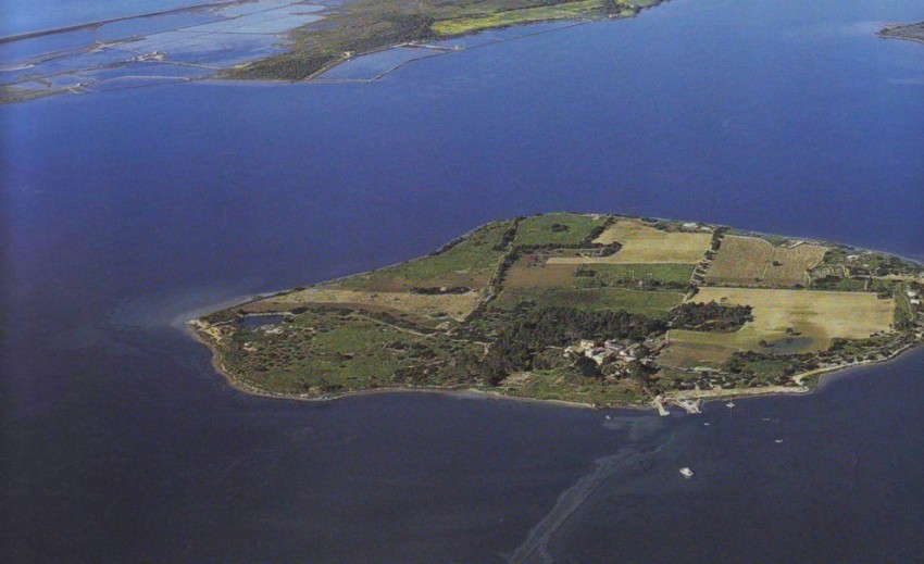 Island of Denmark