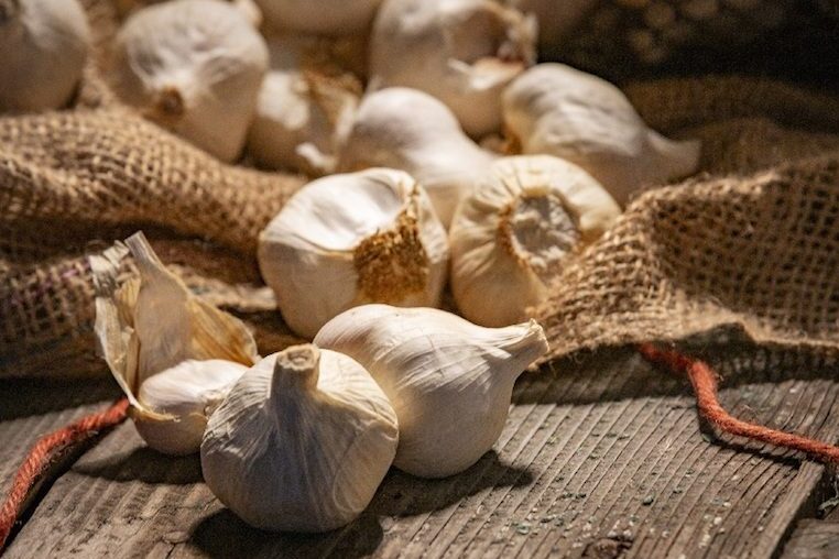 ကြက်သွန်ဖြူ၏Voghiera ည့္ဘဏ္တစ္ခု - Voghiera | Secret World Trip Planner