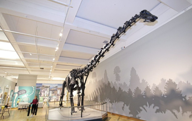 Museo del Ulster - Botanic Gardens | Secret World Trip Planner