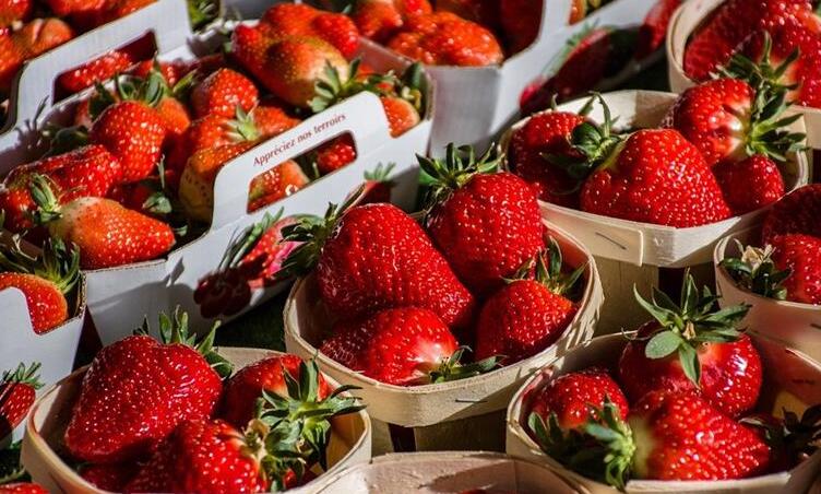 స్ట్రాబెర్రీ యొక్క Lagosanto - Lagosanto | Secret World Trip Planner