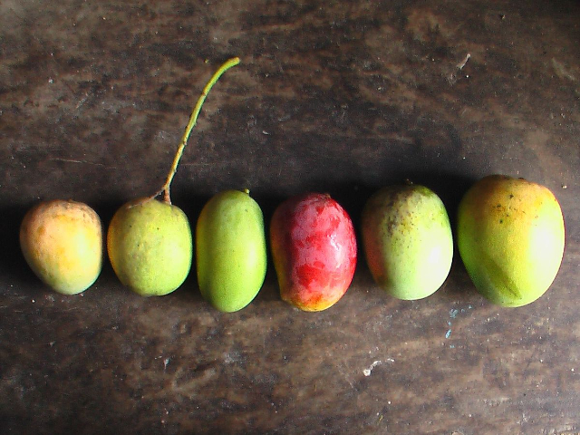 Luwih dawa - Varanasi | Secret World Trip Planner