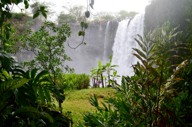 Salto de Eyipantla - Eyipantla Falls | Secret World Trip Planner