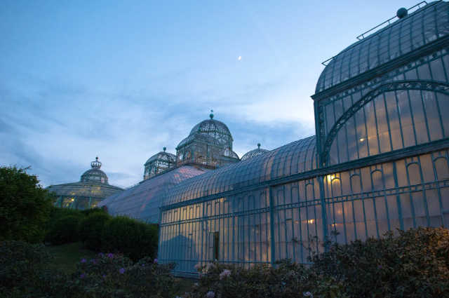 Ang Royal Greenhouses ng Laeken - Bruxelles | Secret World Trip Planner