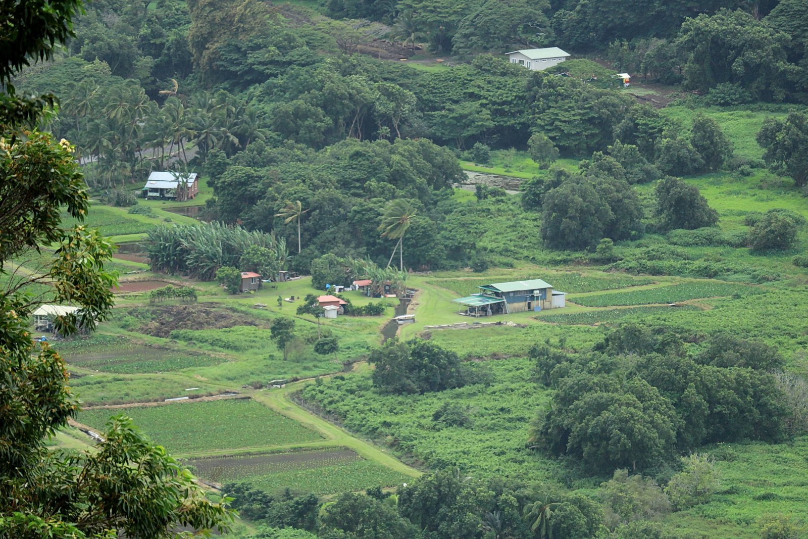 ワイピオ渓谷とその黒砂のビーチ - Waipio Valley | Secret World Trip Planner