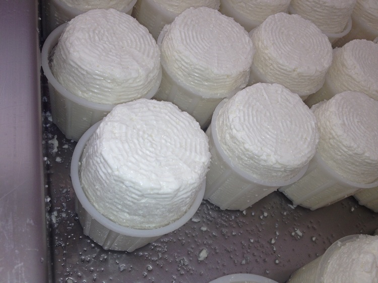 Ricotta af Fuscella di Sant ' Anastasia