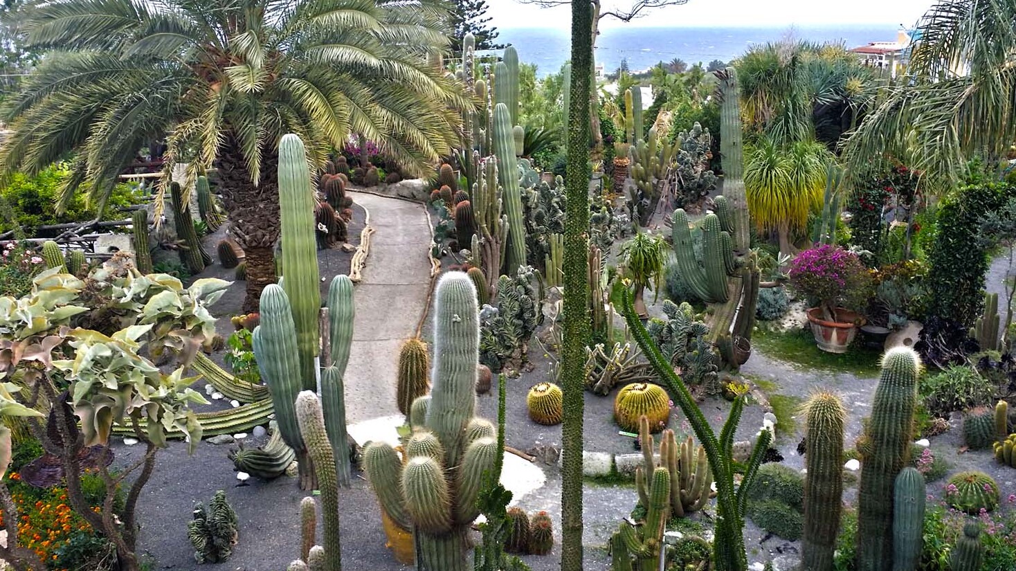 Ravino : le plus grand parc de plantes succulentes d'Europe - Forio | Secret World Trip Planner