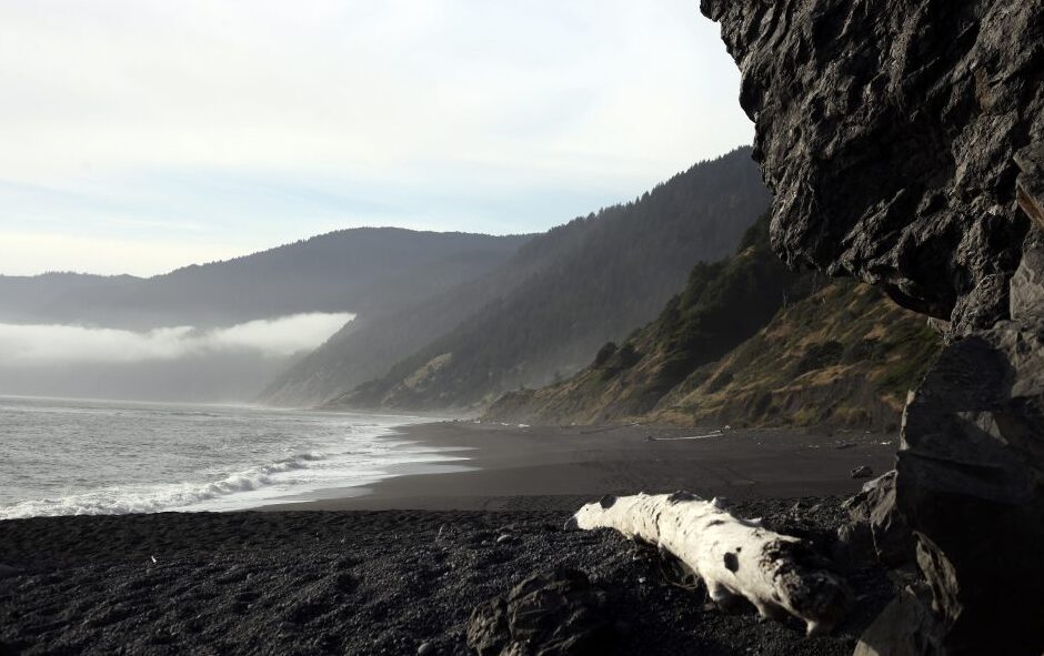 Nalika sampeyan mikir saka California, iku hard kanggo mbayangno ireng pesisir kaya pe - Black Sands Beach | Secret World Trip Planner