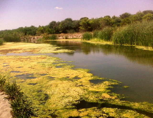 Exploring the WWF Oasis of Policoro - 1 | Secret World Trip Planner