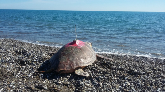 Exploring the WWF Oasis of Policoro - 1 | Secret World Trip Planner