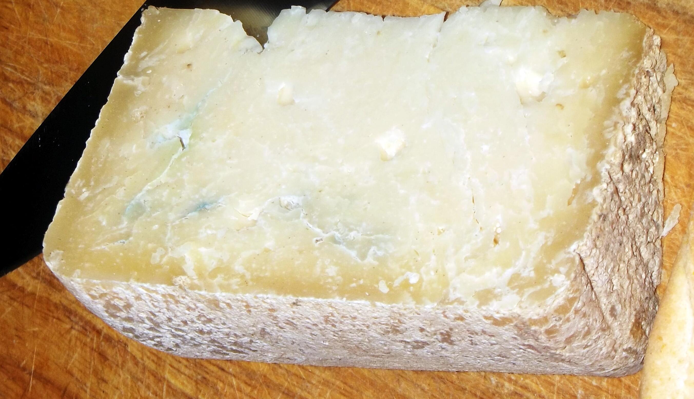 La Toma del Lait Brusc o Bianca Alpina - Valle di Susa | Secret World Trip Planner