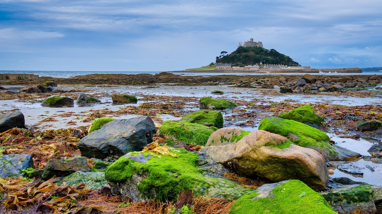 St. Michael's Mount, Cornwall, Inglaterra

St. Michael's Mount, é a jóia do milho - Cornwall | Secret World Trip Planner