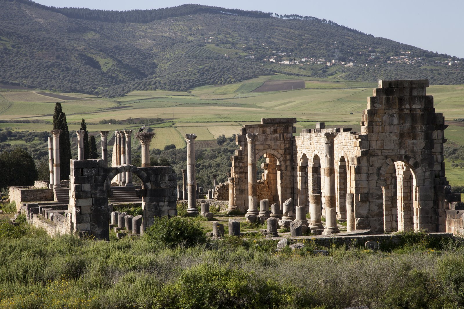 Ruins of Volubilis, Morocco - Conservation du site Archeologique de Volubilis | Secret World Trip Planner