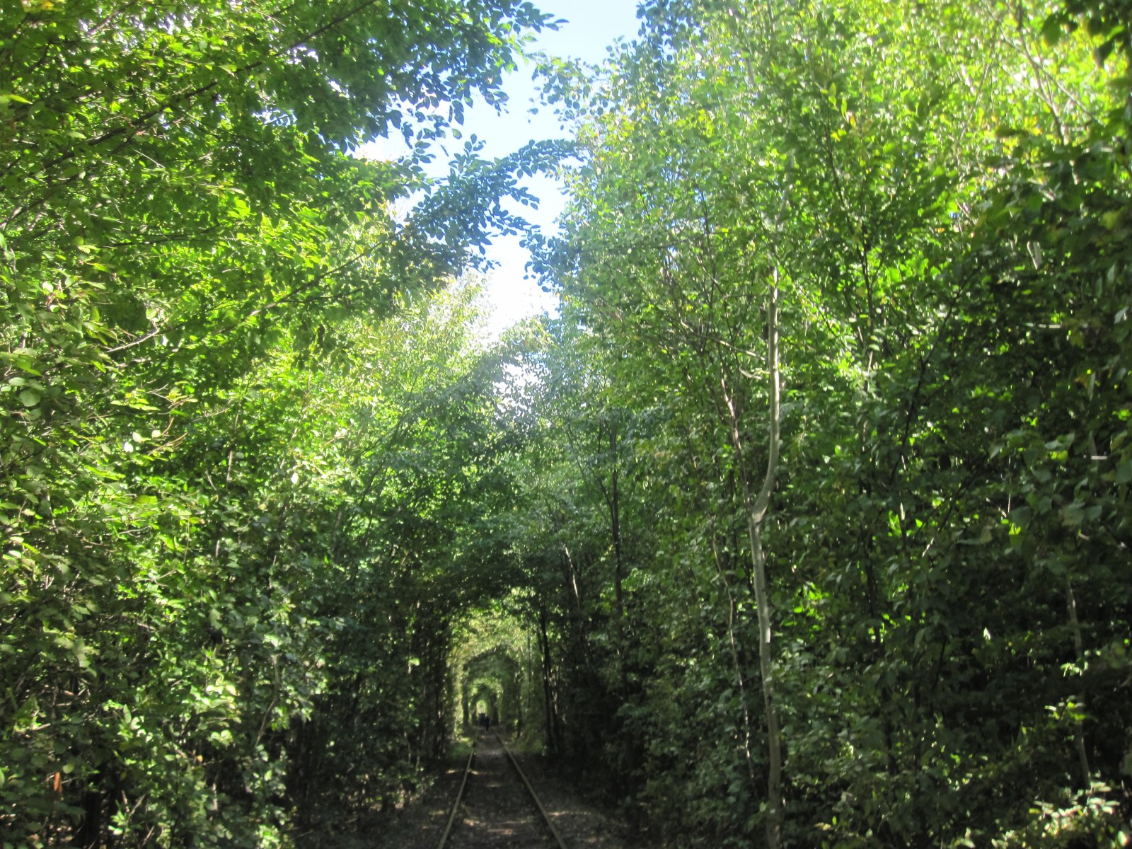 Tunnel der Liebe in Klevan, Ukraine - Klevan' | Secret World Trip Planner