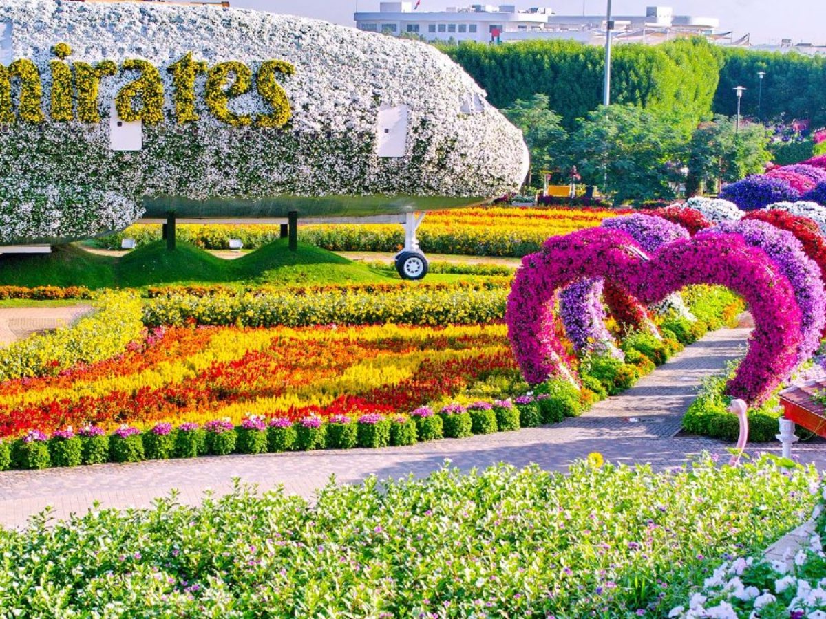 Miracle garden