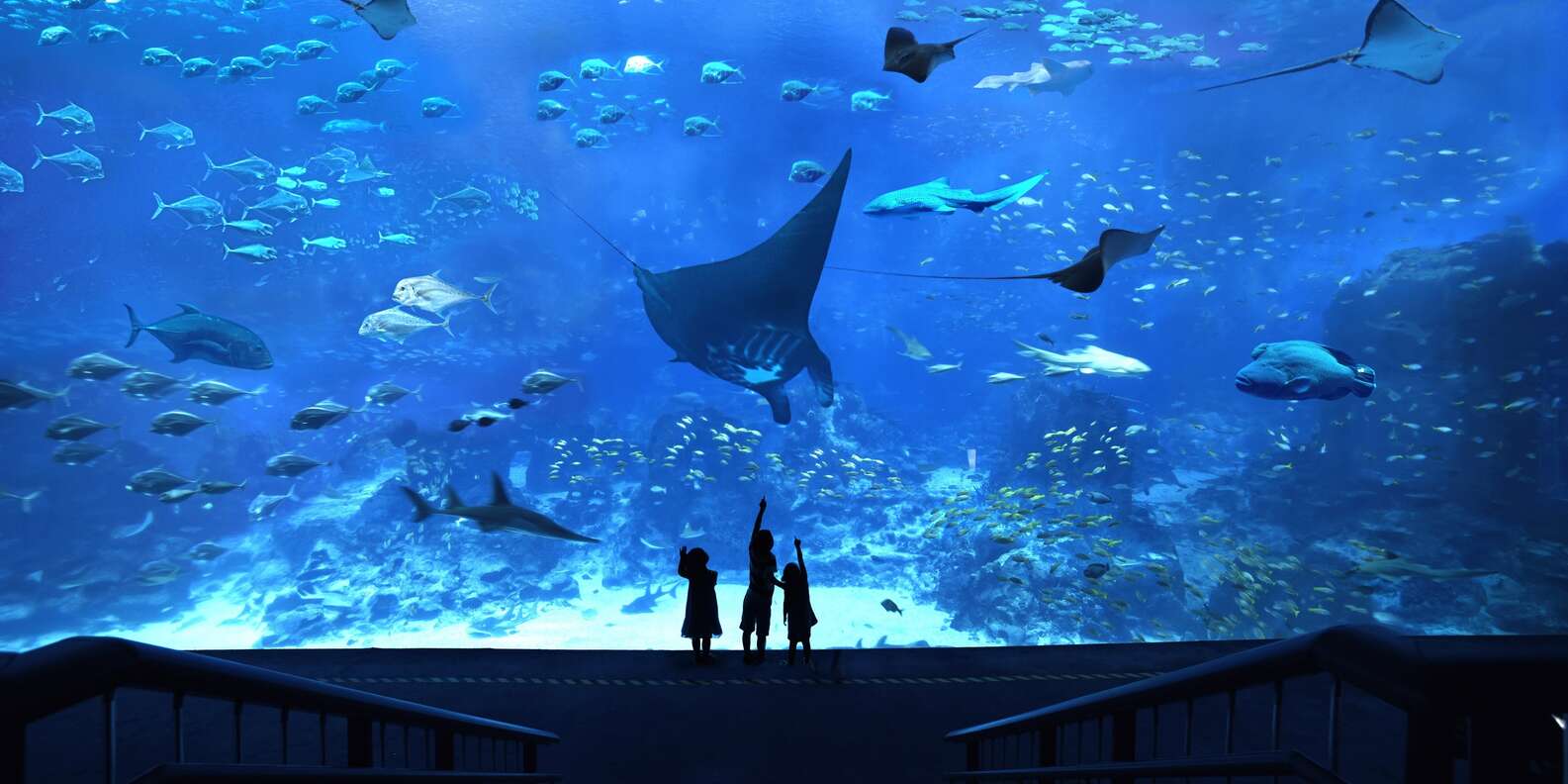 aquarium