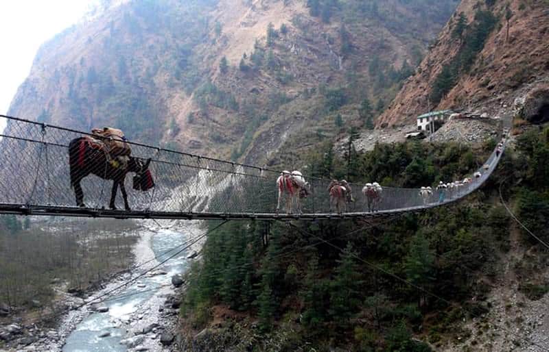 Hanging Bridge of Ghasa (Nepal)