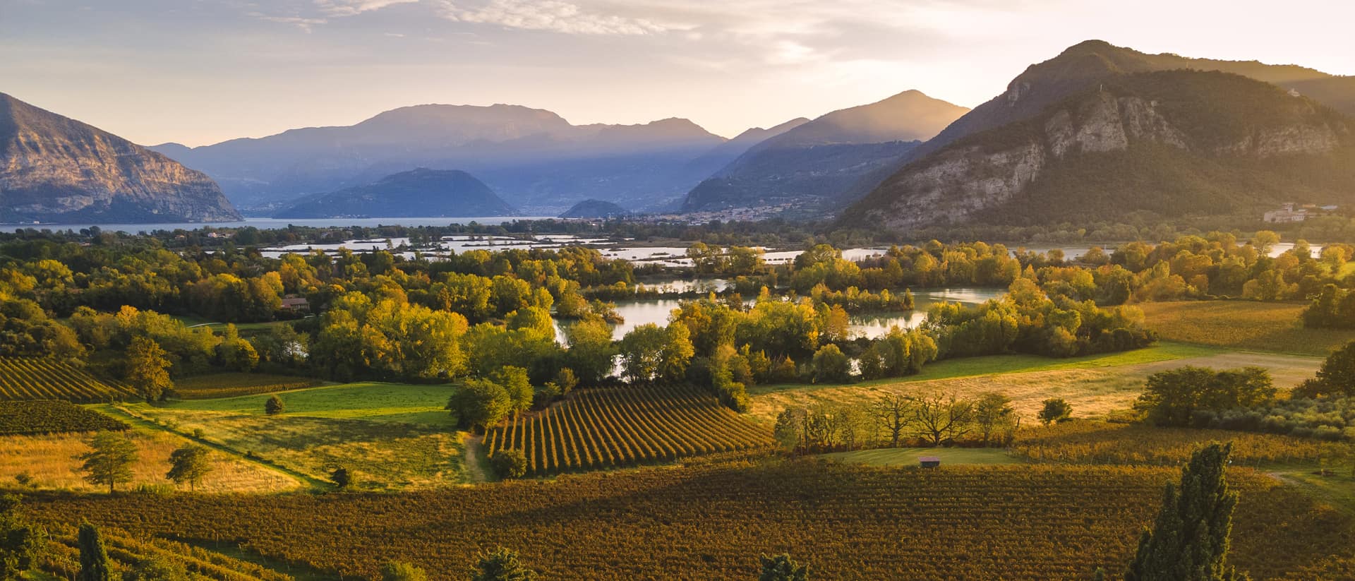 Prosecco and Other Sparkling Wines: A Trip to Italy to Discover the Production Regions